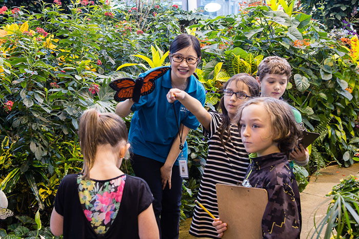 Students at butterfly garden
